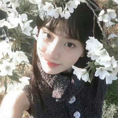 波列洛舞